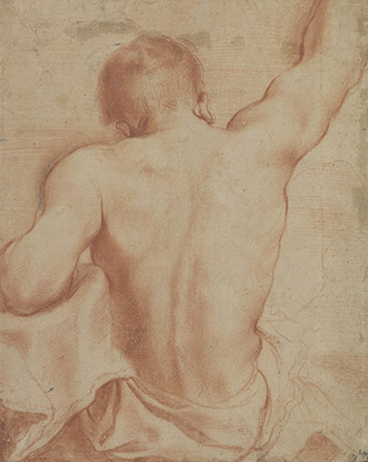 Giovanni Francesco Barbieri, dit Guercino (Cento 1591 – 1666 Bologne), Étude du dos d’un homme assis, vers 1619. Sanguine et rehauts de craie blanche, 337x272 mm. Fondation Custodia, Collection Frits Lugt, Paris, inv. 2536.