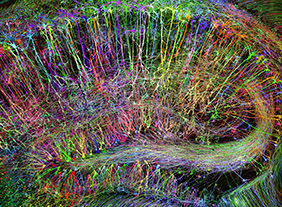 🔊 “Neurones” les intelligences simulées au Centre Pompidou, Paris du 26 février au 20 avril 2020