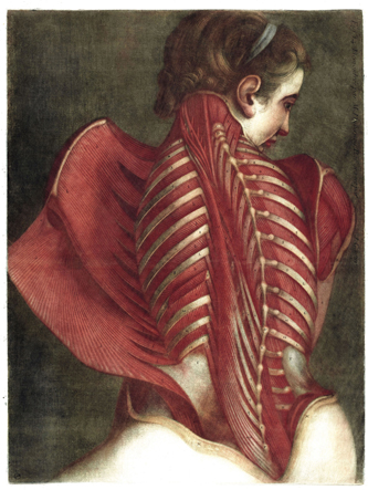 Jacques-Fabien Gautier d'Agoty, L’ange anatomique, 1759. Collection des Beaux-Arts de Paris. Crédit photo : Beaux-Arts de Paris.