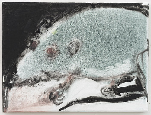 Marlene Dumas, Rat, 2020. Oil on canvas, 30 x 40 cm. Courtesy Marlene Dumas. Photo : © Peter Cox, Eindhoven.