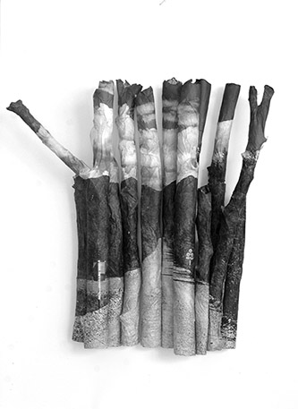 Lisa Sartorio, sans titre 5 (R 504 Road of Bones), série Angle Mort, 2021. Tirages jet d’encre pigmentaire sur papier Awagami Murakamo Kozo, déchirures et moulage sur branches de bouleaux encadrement plexiglas, pièce unique - 50 x 40 x 10 cm.