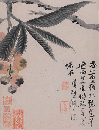 Zhu Ruoji (1642-1707), dit Shitao, Fruits et légumes (feuille n°2), non daté. Encre et couleurs sur papier, 28,5 x 22 cm. Collection Chih Lo Lou. © Musée d’art de Hong Kong.
