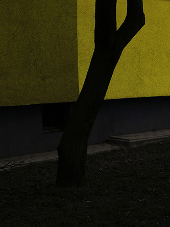 Nolwenn Brod, Le Temps de l’Immaturité, Yellow, tree, Lodz, 2019. © Nolwenn Brod.