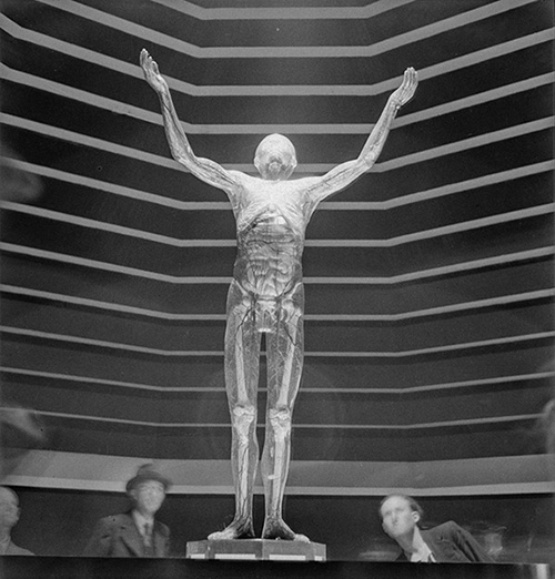 Gaston Paris, « L’homme de verre », Exposition universelle de 1937, Paris. Collections Roger-Viollet, Bibliothèque historique de la Ville de Paris. © Gaston Paris/BHVP/Agence Roger-Viollet.