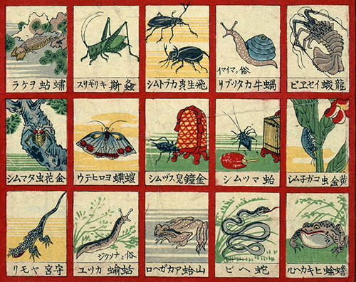 Anonyme, Nouveauté : Insectes et autres petites bêtes (détail), 1894. Collection du Kumon Institute of Education. 