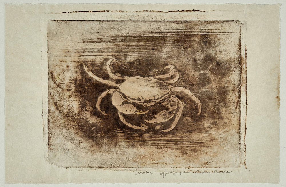 Pierre Roche, Le Crabe, 1895, Gypsographie, Petit Palais. © Paris Musées / Petit Palais.