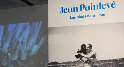 Interview de Pia Viewing, historienne de l'art, chercheuse / commissaire d'expositions au Jeu de Paume, et commissaire de l'exposition consacrée à Jean Painlevé, par Anne-Frédérique Fer, à Paris, le 7 juin 2022, durée 22’37.© FranceFineArt.