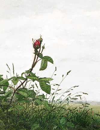 Léon Bonvin, Bouton de rose devant un paysage, 1863. Plume et encre brune, aquarelle et gouache sur un tracé au graphite, rehauts de gomme arabique. – 246 × 187 mm. Baltimore, The Walters Art Museum, inv. 37.1530.