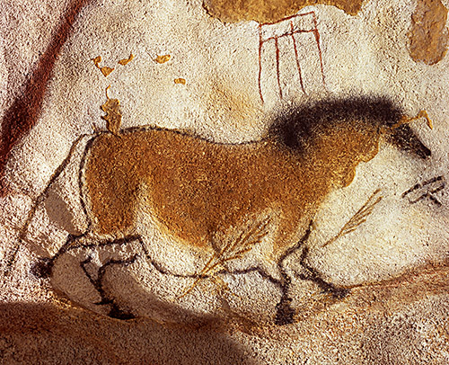 Deuxième cheval chinois – Lascaux. © N. Aujoulat - Centre national de la préhistoire - Ministère de la culture.