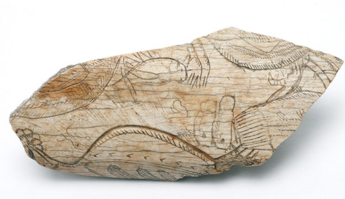 Sauterelle, Cette représentation d’insecte (en l’occurrence une sauterelle) est remarquablement rare dans l’art préhistorique. Taille : 9,9 cm. Découverte : En 1929, dans la Grotte d’Enlène (Ariège). Matière : Os. Epoque : Magdalénien. © MNHN - J.-C. DOMENECH.