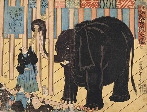 Ryôko, Grand éléphant des Indes nouvellement arrivé au Japon par bateau, 1863. collection du Edo-Tokyo Museum.
