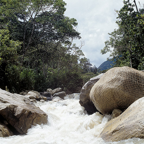 Milton Becerra, Analyse d’un processus dans le temps, « Mailles sur rochers », 1995, Rio Táchira, Venezuela, © photo Luis Becerra.