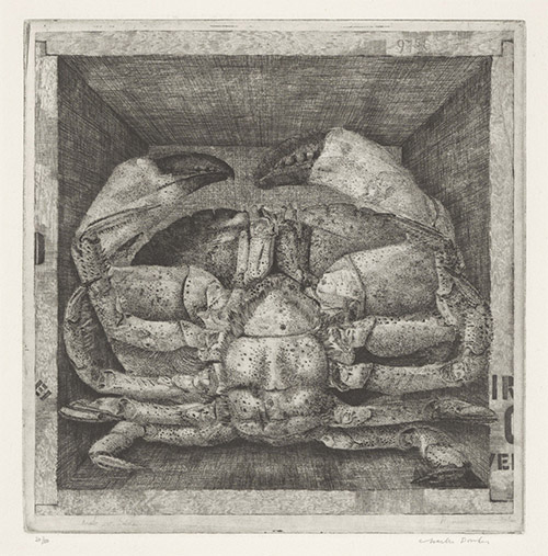 Charles Donker (né à Utrecht en 1940), Crabe (« Cancer Pagurus ») dans une boîte, 1971. Eau-forte ; troisième état. 204 x 200 mm (coup de planche) ; 392 x 282 mm (feuille). Fondation Custodia, Collection Frits Lugt, Paris, inv. 2015-P.23.