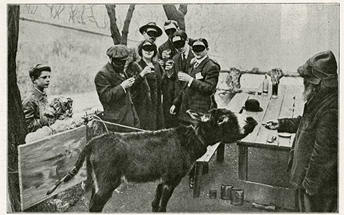 L’âne Lolo peignant le tableau Et le soleil s’endormit sur l’Adriatique, signé Boronali. Photographie parue dans les journaux en 1910 pour révéler la supercherie.