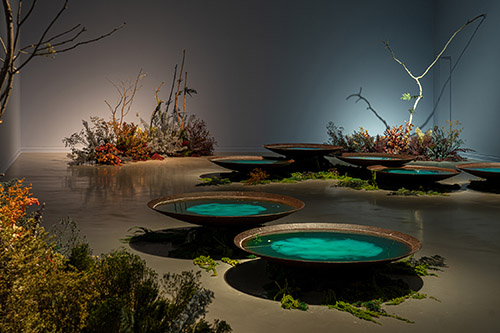 Bianca Bondi, Scrying in Astral Ponds, 2023. Installation in situ, dimensions variables. Vue d’exposition, La Casa Encendida, Madrid. Photo: Maru Serrano.