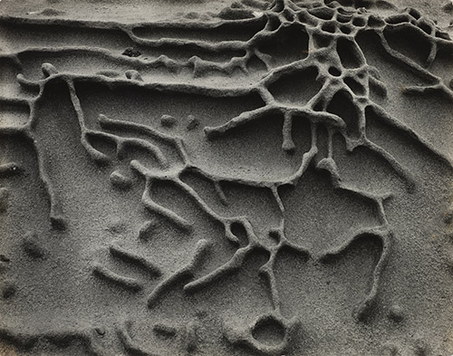 Edward Weston, Clouds, Santa Monica, 1942. © Center for Creative Photography, Arizona Board of Regents / Edward Weston, Adagp, Paris, 2025. Courtesy Wilson Centre for Photography.