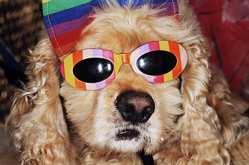 Martin Parr, Venice Beach, Californie, États-Unis, 1998. © Martin Parr / Magnum Photos.