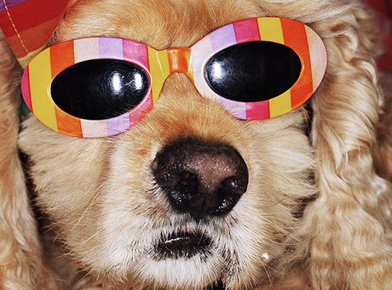 🔊 “Martin Parr” Global Warning, au Jeu de Paume, du 30 janvier au 24 mai 2026