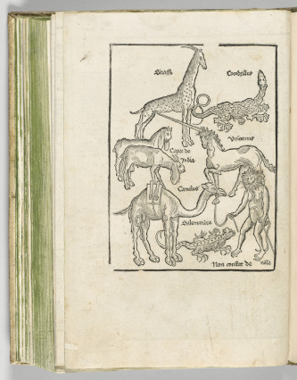 Bernhard von Breydenbach et Erhard Reuwich, Animaux de Terre sainte dans Dis Buch inhaltend die heiligen Reysen gein Jherusalem (titre original) – Dans ce livre, le saint voyage vers Jérusalem, Vers 1502. Impression sur papier, illustration gravée sur bois Paris, musée de Cluny - musée national du Moyen Âge. Cl. 23894. © GrandPalaisRmn (musée de Cluny – musée national du Moyen Âge) / Michel Urtado.