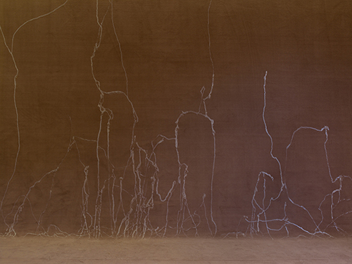 Michel Blazy, Le lâcher d’escargots, 2009. Escargots, bave d’escargots, moquette noire. Dimensions variables. Collection Frac Île-de-France. © Michel Blazy / Adagp, Paris, 2026.