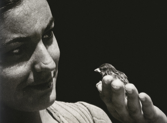 🔊 “Annette Messager” Une hirondelle ne fait pas le printemps, au musée de la Chasse et de la Nature, du 14 avril au 20 septembre 2026