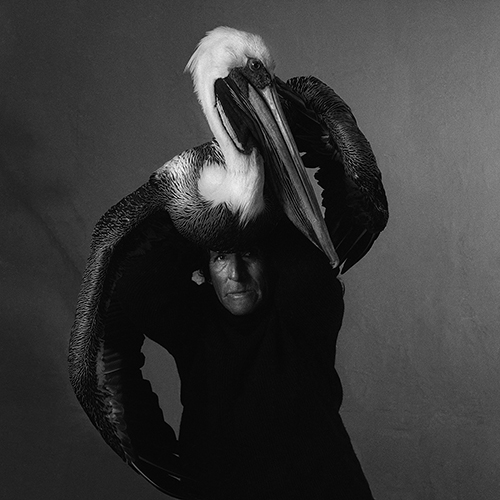 Javier Silva Meinel, El pelicano, 1993 © Javier Silva Meinel / Galerie Younique.
