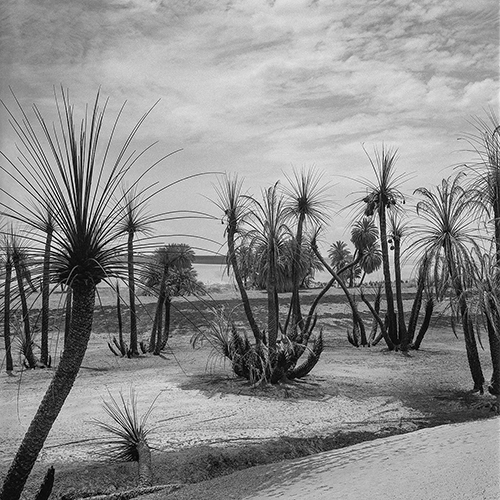 Javier Silva Meinel, Convento de lanchas, 2002 © Javier Silva Meinel / Galerie Younique.
