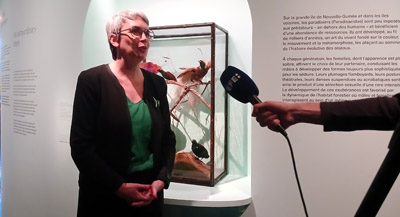 Entretien avec Magali Mélandri, Responsable de l’unité patrimoniale Océanie – Insulinde du musée du quai Branly – Jacques Chirac, et co-commissaire de l’exposition, par Anne-Frédérique Fer, à Paris, le 11 mai 2026, durée 21’50, © FranceFineArt.