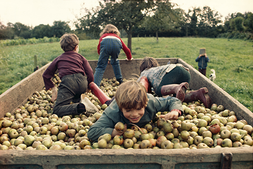 https://francefineart.com/ Madeleine de Sinéty, La Charrette de pommes, Poilley, 1974. © Succession Madeleine de Sinéty.