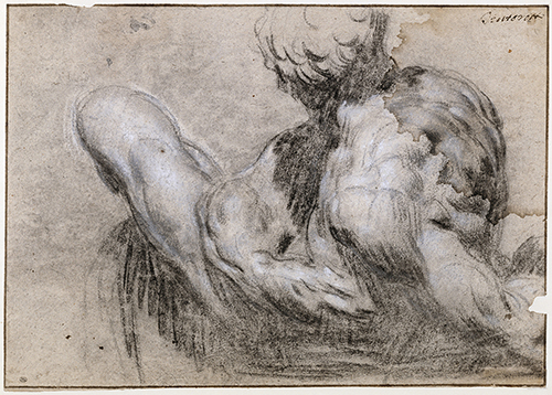 https://francefineart.com/  Tintoret, Étude d’après un moulage de la sculpture de Michel-Ange dite ‘Le Jour’, vers 1555-1560, pierre noire et gouache blanche sur papier, 27 x 37,8 cm, Paris, musée du Louvre, département des Arts graphiques. Crédit photo : © GrandPalaisRmn (musée du Louvre) / Michèle Bellot.