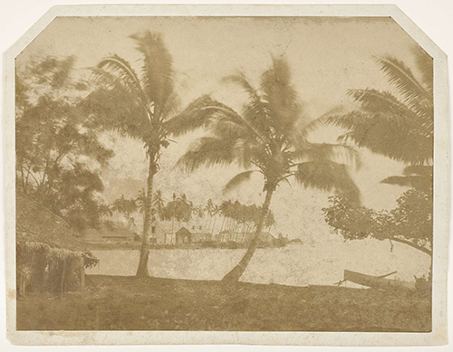 https://francefineart.com/ Gustave Viaud, Plage de palmiers et habitations. Légende au verso du tirage : "Fare-Ute (pris de Taunoa)", 1859. N° inventaire 70.2023.50.47. Tirage sur papier salé monté sur papier, coins supérieurs biseautés, 17,8 x 23,5 cm Dimensions du montage : 19,2 x 24,8 cm. Océanie, Tahiti (île), Polynésie Société (îles de la) Polynésie française Vent (îles du) Papeete. Photographie reproduite dans P. O'Reilly et A. Jammes, "Gustave Viaud, premier photographe de Tahiti", Paris, Société des Océanistes, Musée de l'Homme, 1964, fig.I et intitulée "Papeete. La pointe de Fare Ute avec l'arsenal". Reproduite dans Jean-Yves Tréhin, "Tahiti, l'Eden à l'épreuve de la photographie", Gallimard, 2003, p.20, intitulée "L'arsenal de Fare Ute" et datée de 1859. Tirage faisant partie d'un ensemble de calotypes sur papier et de tirages réalisés en Polynésie. © musée du quai Branly – Jacques Chirac.