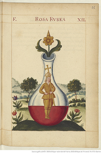 https://francefineart.com/  Pretiosissimum Donum Dei (Rosa rubea), Georges Aurach, 1601-1700. Manuscrit papier. Ms-975 réserve, fol 26r. Paris, Bibliothèque nationale de France, Bibliothèque de l’Arsenal. Source gallica.bnf.fr / Bibliothèque nationale de France.