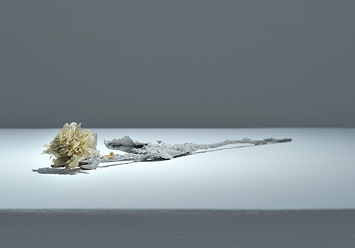 https://francefineart.com/  Lionel Sabatté, La rose blanche, 2013. Peaux mortes, ciment, cendres et tige de rose · 39,5 × 7,5 × 5,5 cm. © Lionel Sabatté, ADAGP, Paris, 2026. © Rebecca Fanuele.