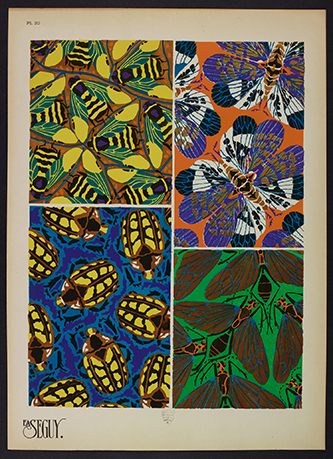 https://francefineart.com/  Emile-Allain Séguy (1877 – 1951), Insectes, 1929, planches en phototypie coloriées au patron. © Muséum national d'Histoire naturelle.