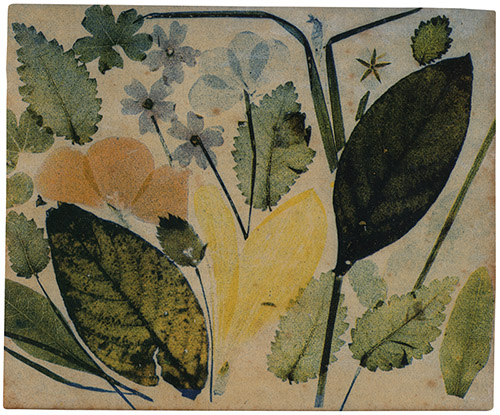 Louis Ducos du Hauron, Reproduction collographique de feuilles et de pétales de fleurs. Collographie vernie, 1870. © Musée Nicéphore Niépce.