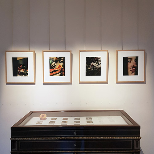 Vues de l’exposition Insolations d’Antoine Henault au Musée national Eugène Delacroix. © Anne-Frédérique Fer / FranceFineArt.com