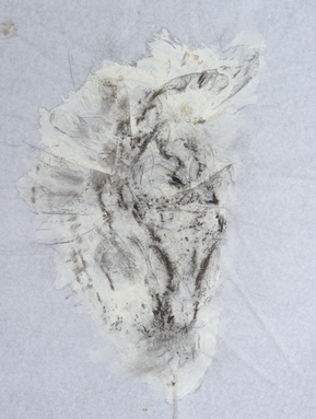 Hélène Bremond, tête 25 du n° 40030, fusain sur papier de soie, environ 38x46 cm, 2014.