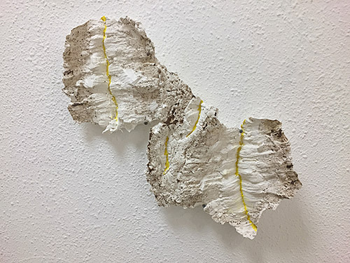 Morgane Porcheron, La mue du chêne, 2019. Plâtre, brou de noix et pigment jaune, dimensions variables. © Morgane Porcheron.